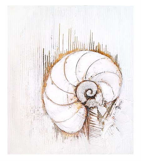 Ammonite 