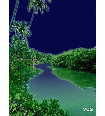 Tropical river by night