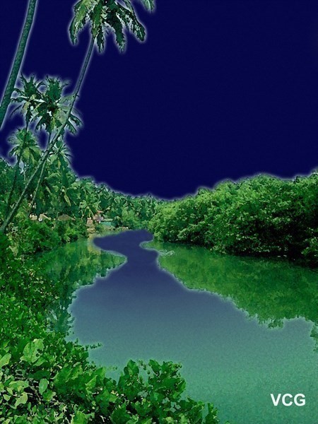 Tropical river by night 
