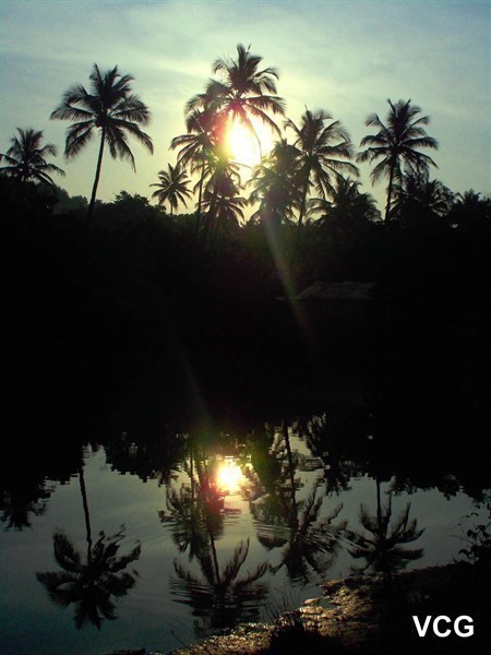 Reflections at sunrise 