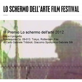 IL PREMIO INTERNAZIONALE LO SCHERMO DELL'ARTE 2013 IV edizione