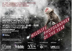 Wildlife Photographer of the Year 