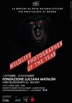 Wildlife Photographer of the Year 51
