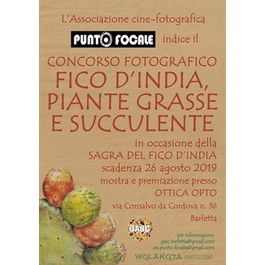 concorso fotografico Piante Grasse