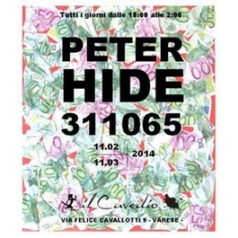PETER HIDE 311065